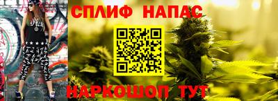 твердый Камень-на-Оби