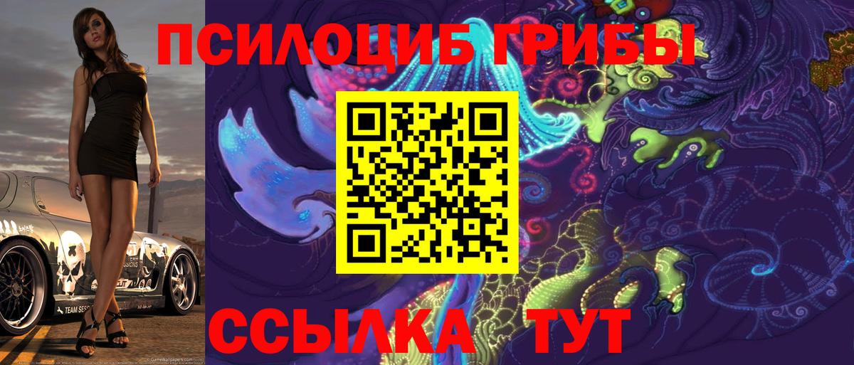 Галлюциногенные грибы Psilocybine cubensis Сердобск