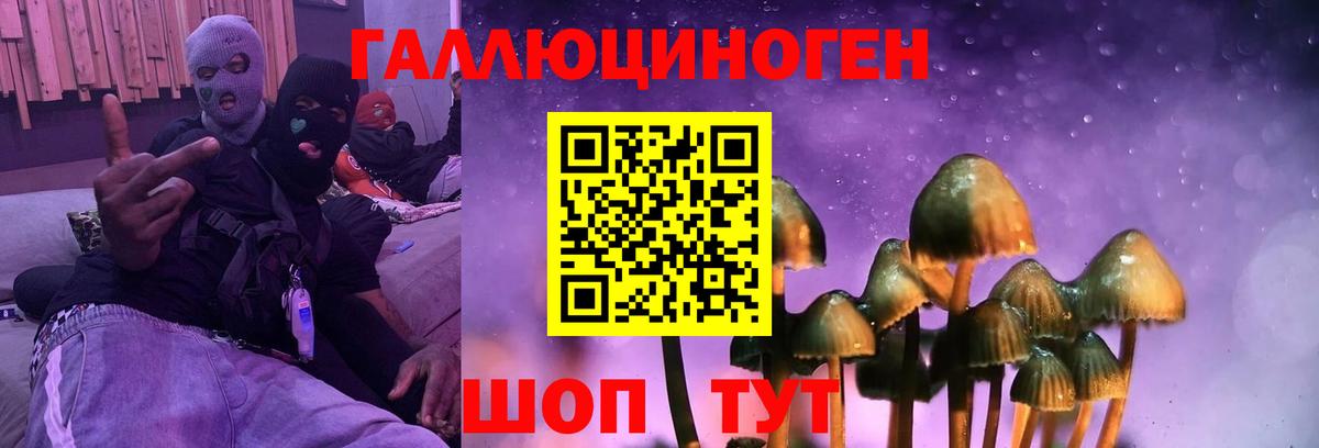 Галлюциногенные грибы Cubensis  Вход с VPN  Сердобск 